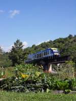 Am 25.07.2010 fhrt ein LINT 41 der Bayerischen Regio Bahn auf der nur noch 5,2 km langen Nebenbahn von Eichsttt Stadt nach Eichsttt Bahnhof an diesem schnen Schrebergarten vorbei.