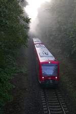 Den Morgennebel hinter sich gelassen haben 650 114 und ein weiterer Triebwagen der Baureihe 650, die als RB 22756 von Friedrichshafen Hafen nach Radolfzell in Kürze in den Bahnhof von