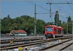 Der DB 650 201-6 verlässt als RB nach Friedrichshafen Stadt Lindau Insel über den Seedamm. 

14. August 2021