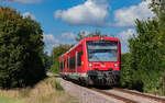 650 006 und 650 001 als S 74436 (Stockach – Radolfzell) bei Wahlwies 18.9.24