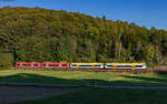 650 242; 650 114; 650 111 und 650 101 als RB 17782 (Friedrichshafen Stadt - Radolfzell) bei Stahringen 18.9.24