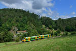 650 075 + 650 070 als WBA4 nach Viechtach am 02.07.2017 bei Schnitzmühle. 