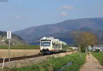 VT 508 und VT 014 als SWE88469 (Waldkirch-Freiburg(Brsg)Hbf) bei Buchholz 15.4.19