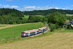 650 565 + 650 563 am 21.06.2013 bei Rosenau.