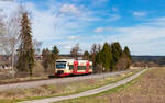 VT 242 als SWE 69728 (Rottweil - Bräunlingen Bf) bei Lauffen 22.3.23