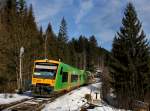 Der VT 24 und der VT 28 als RB nach Plattling am 01.01.2013 unterwegs bei Bhmisch Eisenstein.