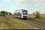 Nachschuss auf 1648 919 (Alstom Coradia LINT 41) der Abellio Rail Mitteldeutschland GmbH als RB 80428 (RB47) von Halle(Saale)Hbf nach Bernburg Hbf, die bei Nauendorf-Merbitz (Stadt Wettin-Löbejün) auf der Bahnstrecke Halle–Vienenburg (KBS 330) fährt.
[21.7.2020 | 15:43 Uhr]