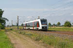 Hier zusehen ist 1648 454 am 1.8.24 als RB 47 nach Halle (Saale) Hbf bei Arnesdorf.