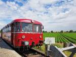 Mainschleifenbahn__KBS 12818 (seit 2019) ex KBS 418a. Schienenbus-Garnitur hat den (vorläufigen ?) Endpunkt parallel zu den Gleisen der Strecke Würzburg - Schweinfurt bei Seligenstadt erreicht. Zum DB-Bf. Seligenstadt sind es ca. 300 Meter Fußweg. Nach Wiedereinbau der 1998 entfernten Weichenverbindung im Bf. Seligenstadt soll in wenigen Jahren mit elektrischen Hybrid-Tw wieder Linienverkehr nach Volkach-Astheim stattfinden ...__12-08-2023