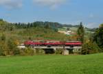Der Schienenbus 998 840 + 798 776 + 798 706 der Passauer Eisenbahnfreunde bei einer Sonderfahrt auf der Ilztalbahn am 03.10.2012 unterwegs bei Rhrnbach. 