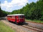 VT 135 110 aus Halle ist hier bei der Lokparade in Schwarzenberg am 05.06.11 zusehen.