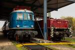 118 003-3 & E60 10 im DB Museum Koblenz, November 2024.