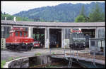 Blick über die Drehscheibe am 16.5.1999 auf die ausgestellten Schienenfahrzeuge des BW Garmisch Partenkirchen. Vorn links die E 6903 in rot. Ihre Schwester E 6902 in Grün. 