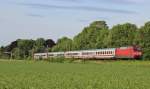 Am 16.Juni 2013 war 101 049 mit dem sonntglichen Leinetal-IC sdlich von Nordstemmen auf dem Weg von Hamburg-Altona nach Kassel-Wilhelmshhe.