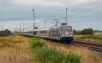 101 004, eine der beiden Werbeloks für die Bahn-BKK, bespannte am 04.09.16 den IC 2301 von Berlin nach München. Hier fährt der Zug durch Gräfenhainichen.