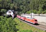 101 019 fuhr am 30.07.20 den (Fbz27922) mit 120 108,113,114,143 und 157 von München nach Leipzig zum Stillstandsmanagement.