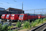 Die Elektrolokomotiven 185 276-3, 185 335-4, 145 033-7, 151 034-6 & 185 403-3 abgestellt in einer Reihe am Hauptbahnhof Wanne-Eickel.