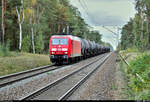 Kesselzug mit 145 073-3 DB durchfährt den Hp Wahlitz auf der Bahnstrecke Biederitz–Trebnitz (KBS 254) Richtung Biederitz.
Aufgenommen am Ende des Bahnsteigs 1.
[17.10.2019 | 15:35 Uhr]