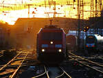 Die Elektrolokomotive 185 246-6 zog in der glühenden Abendsonne einen langen gemischten Güterzug, so gesehen Ende Oktober 2024 in Dortmund.