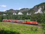 Mehrere railion 145er, die bisher Gterzge zogen, sind seit Dezember 2010 im Einsatz bei der S-Bahn Dresden, hier in der Schsischen Schweiz zwischen Kurort Rathen und Wehlen; 17.06.2011  