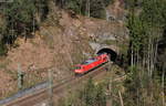 146 215-9 mit dem RE 4725 (Karlsruhe Hbf-Konstanz) bei Niederwasser 22.3.20