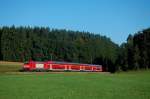 146 204 mit seitlicher Drei-Lwen-Takt-Reklame bringt am Morgen des 13.08.08 einen InterRegioExpress von Stuttgart Hbf nach Ulm Hbf, aufgenommen an der Filsbahn (KBS 750) nahe Beimerstetten.