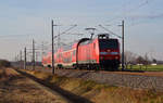 Ein RE von Halle(S) nach Magdeburg passiert, gezogen von 146 023, am 08.12.16 Braschwitz.