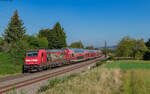 146 239  Richtung Heimat  mit dem RE 4749 (Offenburg - Freiburg Hbf) bei Kollmarsreute 20.9.24