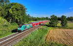 146 247 mit einem RE3 am 26.07.2024 bei Schwarzwöhr.