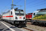 147 590, 388 010 und 110 722  in Warnemünde.21.09.2024