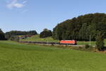 152 043 war mit einem Stahlzug am 18. September 2024 bei Axdorf auf dem Weg nach Freilassing.