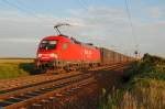 Railion 182 008 befrderte am Abend des 02.09.2009 einen Container Zug Richtung Wien. Die Aufnahme entstand um 18:51 kurz nach Gramatneusiedl.