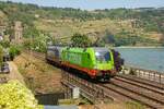 242.531  La Motta  Flixtrain in Oberwesel an der Stadtmauer, am 10.06.2023.