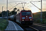 Im letzten Abendlicht durchfährt ein Kesselzug mit 185 290-4 DB den Hp Zscherben auf der Bahnstrecke Halle–Hann. Münden (KBS 590) Richtung Halle (Saale).
[3.7.2020 | 20:55 Uhr]