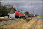 DB 185236-7 passiert hier am 26.8.2020 um 11.03 Uhr mit einem kurzen Güterzug in Richtung Halle an der Saale den Schrankenposten bei Braschwitz.