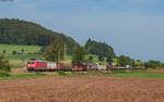 185 089 mit dem EZ 45175 (Kornwestheim Rbf - Wolfurt) bei Rietheim 30.8.24