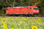 DB Cargo AG [D] mit  185 390-2  [NVR-Nummer: 91 80 6185 390-2 D-DB] am 17.10.2024 bei Eglharting.