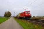 DB Cargo Bombardier Traxx 185 264-9 mit KLV Zug bei Babenhausen (Hessen) am 02.11.24