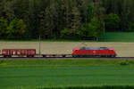 Lokportrait von 185 053 DB Cargo mit einem gemischten Güterzug bei Kehlheim Richtung Regensburg, 29.05.2021