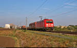 EZ mit 185 298-7 unterwegs östlich von Teutschenthal Richtung Halle Rosengarten.

🧰 DB Cargo
🕓 3.9.2024 | 8:22 Uhr