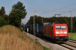 Hier 185 382 -9 in Aukofen am 18.09.2010.