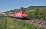 185 142 Edelweiss ist mit ihrem Kesselzug in Thngersheim am 21.9.2010 unterwegs.