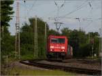 Ein knalliges Rot umgeben von satten Grntnen, so sieht der Bahnsommer 2012 aus.