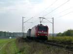 185 167 zieht am 28.09.13 einen Containerzug ber die Rheinbahn Richtung Mannheim.
Festgehalten zwischen Waghusel und Neulussheim.