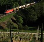 185er bei Villnachern Bözberg Süd
7. Mai 2009