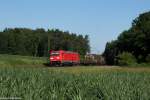 Eine 185 318-3 zieht einen gemischten Güterzug in richtung Nürnberg. Fotografiert in Mimberg am 02.07.2015