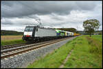 Beacon 185 407-4 beförderte am 03.10.2024 verschiedene Lokomotiven (Altmark Rail My 1155  Polarlicht , Voith 263 004-4 & Strabag 263 005-1) sowie einen Bauzug bei Retzbach durch das Maintal.