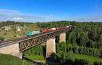 185 634 mit einem Güterzug am 05.08.2024 bei Beratzhausen.