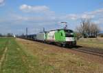 1216 954 + 185 692 mit einem leeren Autozug am 27.03.2014 bei Plattling.