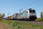 Mit einem Containerzug nach Rotterdam Waalhaven fuhr am 05.05.2016 die Railpool/BLSC 186 105  1 Locomotive / 4 Countries  bei Scherzingen auf der Rheintalbahn in Richtung Freiburg (Breisgau).